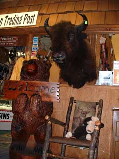 Scary Buffalo head.