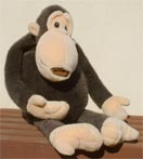 Monkey pitches his case