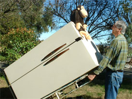 Monkey helps Dave move refrigerator... by directing