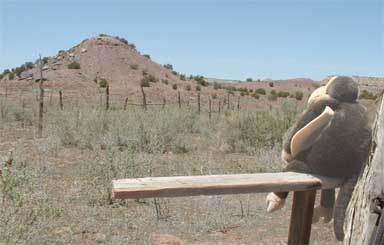 Hubbell Hill--Monkey pays respects