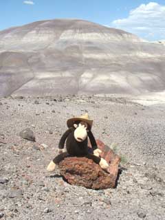 Astride petrified tree log